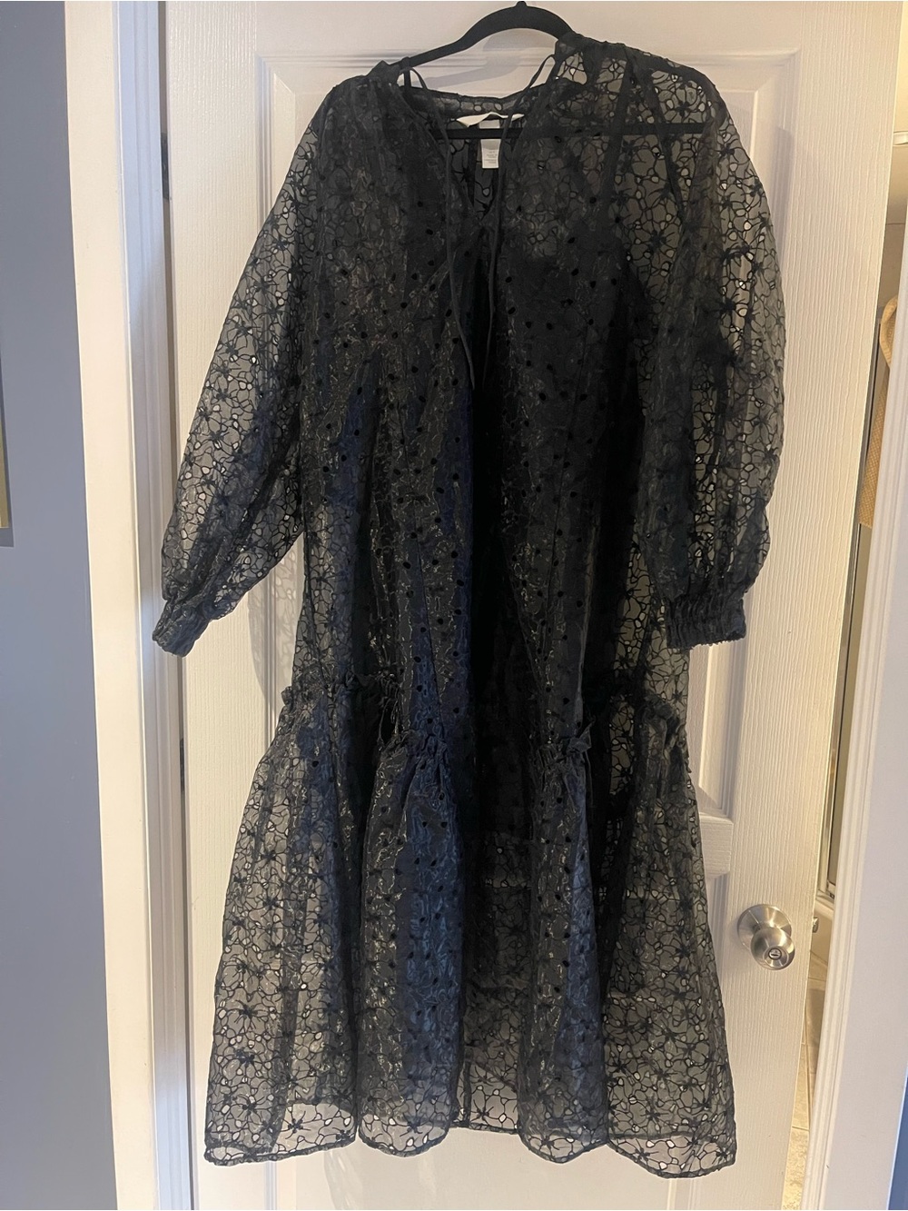 H&M Black Sheer Lace Dress with Floral Cutouts